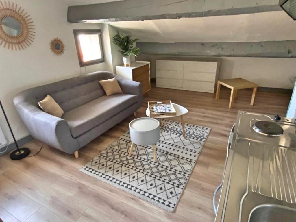 Appartements Cosy Au Centre De 라센느쉬르메르 외부 사진